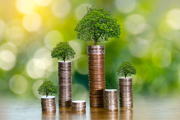 Investissements liés aux changements climatiques, selon les caractéristiques de l'entreprise 